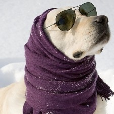 Sun's UV rays are more dangerous in snow than on the beach